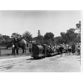 Miniature Train and Elephant Rides