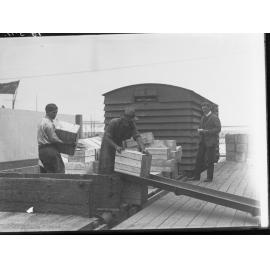 Receiving  "Cleopatra" apples for freezers