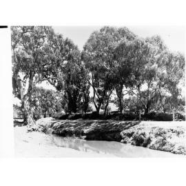 Mount Barker Showing Creek and Small Bridge with Gum Trees