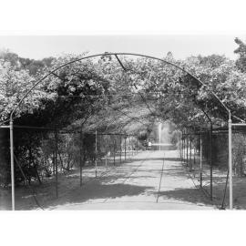 Botanic Gardens showing walkway