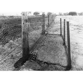 Surveyor Generals Trap