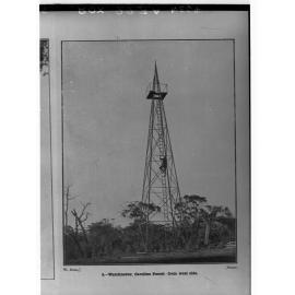 Man climbing watchtower, Caroline Forest