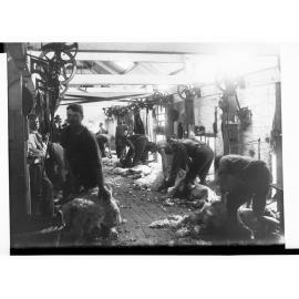 Shearing Machinery at Hill River