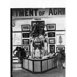 Agricultural Exhibition, tobacco display