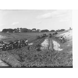 Torrens Flood Water Scheme Showing Men at Work and Horses and Carts