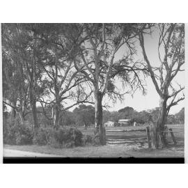 Fulham Homestead Showing Buildings in the Distance