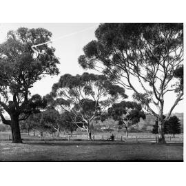 Waite Research Homestead in Distance
