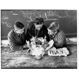 Dissecting a Chicken