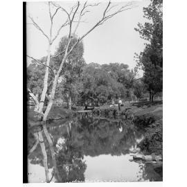 Wilpena Creek at Head Station