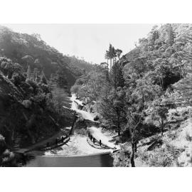 Waterfall Gully Scenic Walk