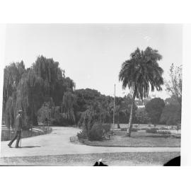 Botanic Gardens showing man with walking stick