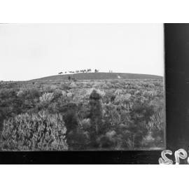 View of land and camels - survey for East West Railway