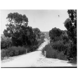Country Road at Willunga