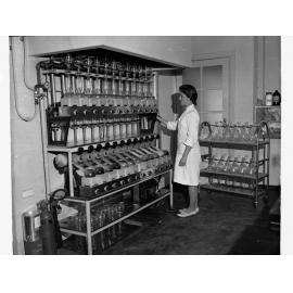 Scientist Working in a Laboratory