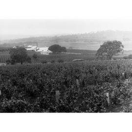 Vineyard Showing House