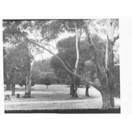 Belair National Park