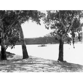 River Murray Cadell Punt Crossing