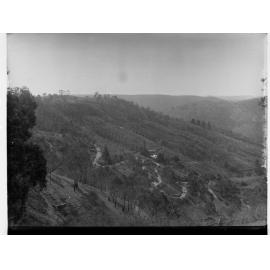 Corkscrew Road at Montacute