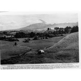 Farmers Making a Haystack
