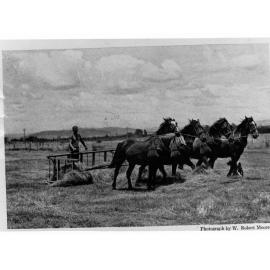 New Zealand Farmer Using Gate Scoops to Gather Hay