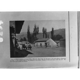 Winter Sunshine in Creole Chile