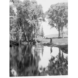 Flinders Ranges, Wilpena Creek