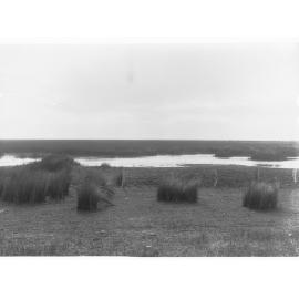 South Eastern Drainage