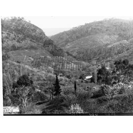 Mount Lofty Ranges View at Norton Summit
