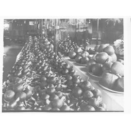 Orange Display Adelaide Show