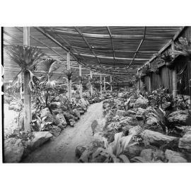 Hot House, Botanic Gardens