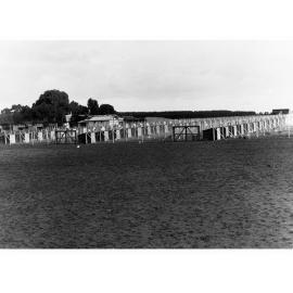 Poultry Farm Showing Coops and Runs