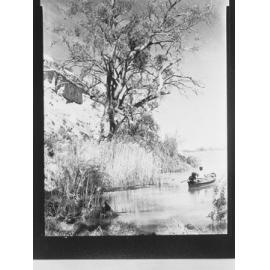 River Murray near Renmark
