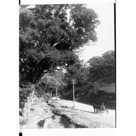 Glen Osmond Mount Barker Road Showing Horse and Buggy