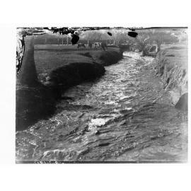 Cows grazing by a raging river