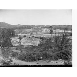 Piccadilly Valley near Uraidla, showing market gardens ans an orchard