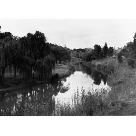 River Torrens from Albert Bridge