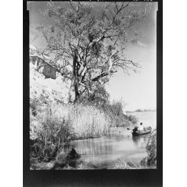 River Murray near Renmark