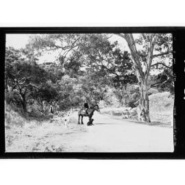 Port Pirie - Port Germein Gorge (man on horse)