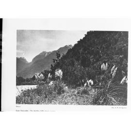 Scenic View in South America