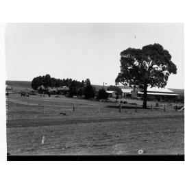 Turretfield Farm House