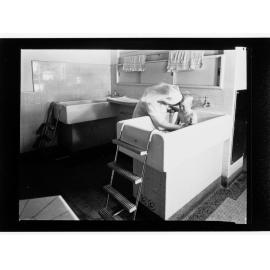 Children's Welfare Department - nurse bathing child