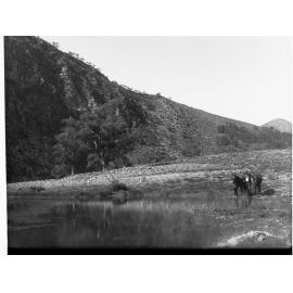 Aroona Water, Flinders Ranges