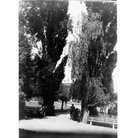 View in Botanical Gardens showing young man near a fence