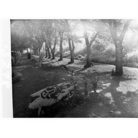 Flower Day Floral Displays