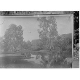 Northern Territory - scene of water and trees