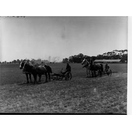 Mowers for Lucerne Cutting at Virginia