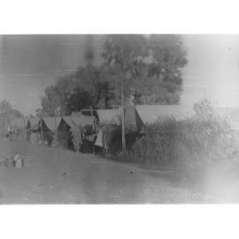 Crops covered by tents - probably to protect tomato plants from sun