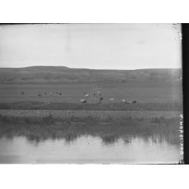 Premier Vaughan's visit to Murray River 