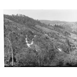 Corkscrew at Montacute, Mount Lofty Ranges