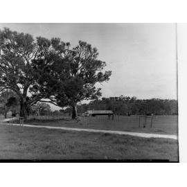 Oval at McLaren Vale